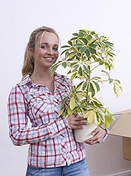��������� ��������
