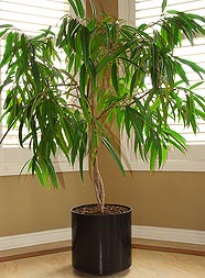 ��������� ��������